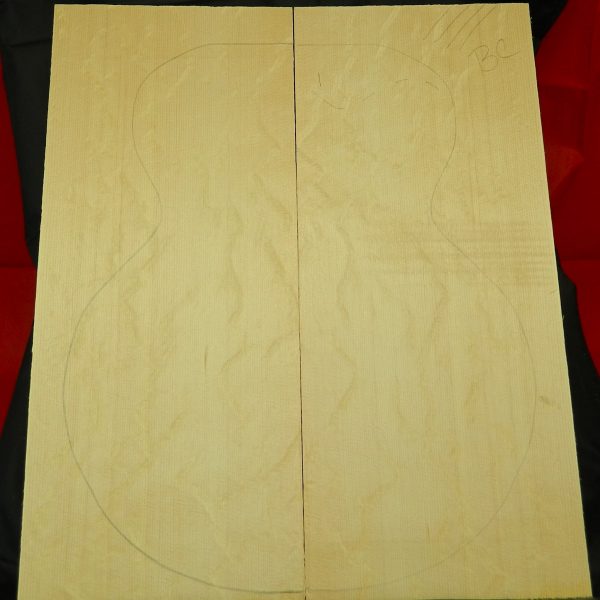 Dreadnought Premium Bearclaw for Double tops GTR.