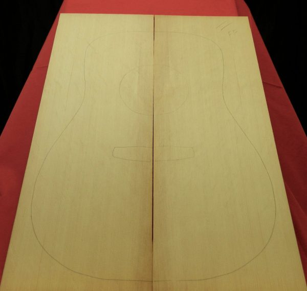 AA Full Figure Bearclaw Float Log Sitka Spruce Top - Image 7