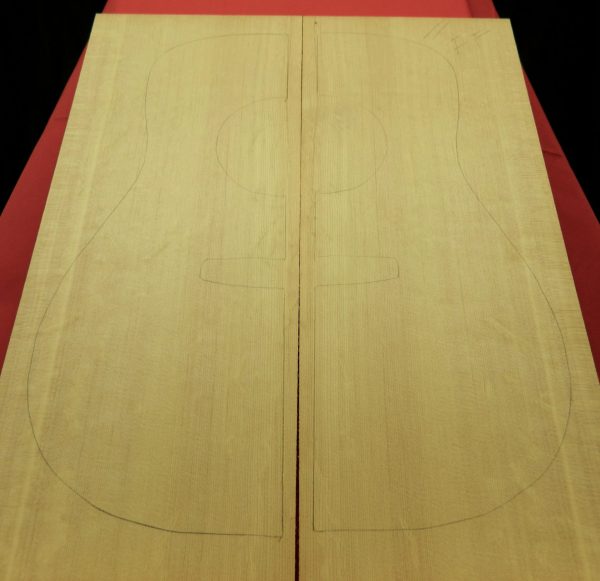 AA Full Figure Bearclaw Float Log Sitka Spruce Top - Image 5