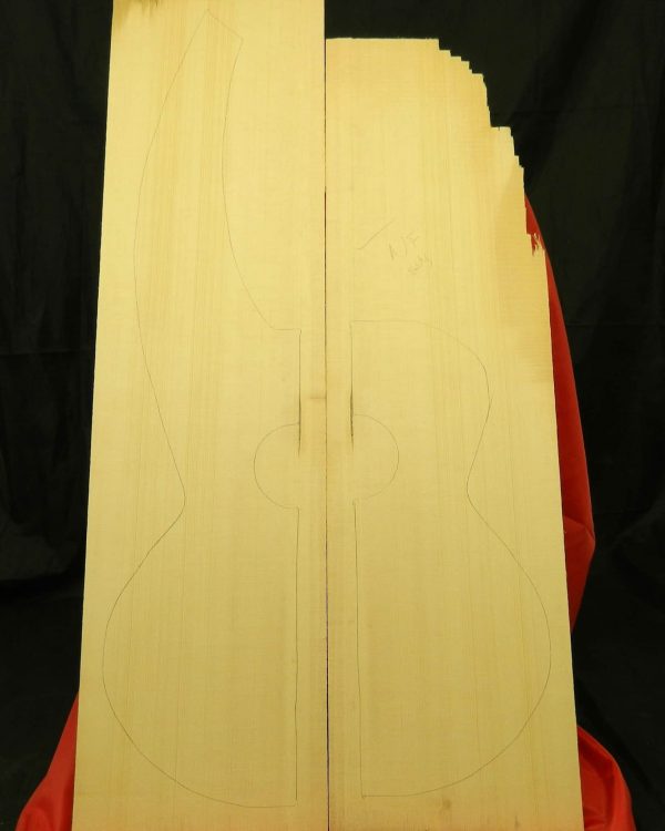 A grade bear claw dyer harp