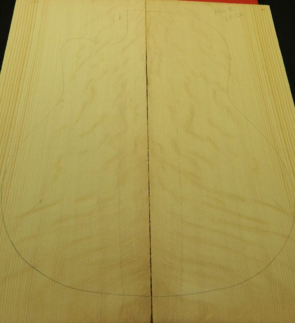 AAA Bearclaw L-Hand Cut Away Dread top - Image 4