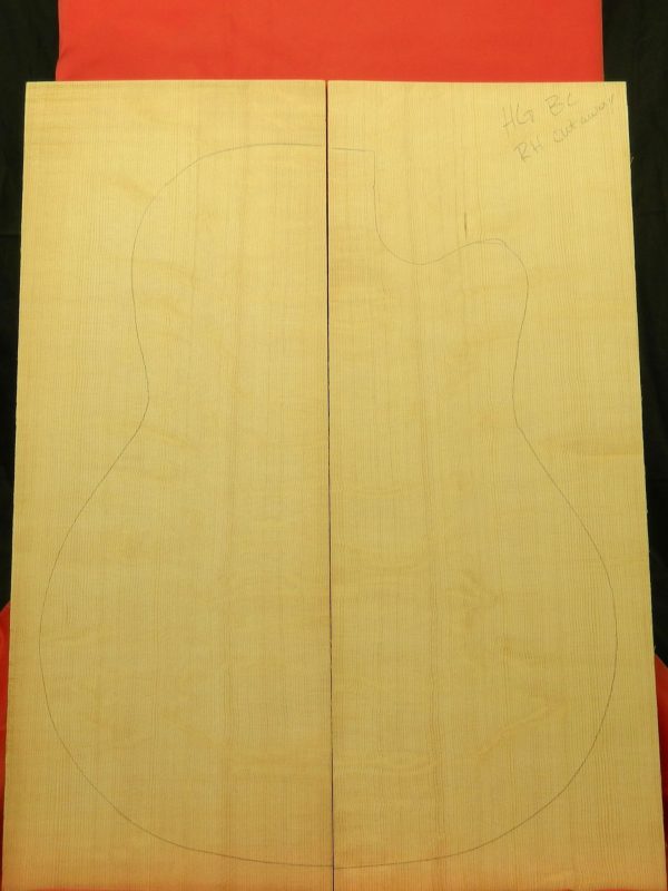 AAA Bearclaw R-Hand Cut Away Dread Top - Image 5