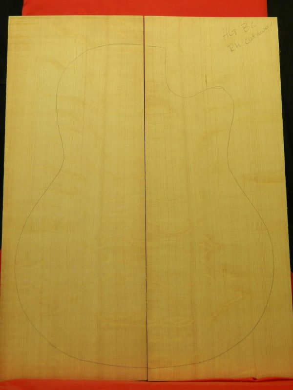 AAA Bearclaw R-Hand Cut Away Dread Top - Image 4