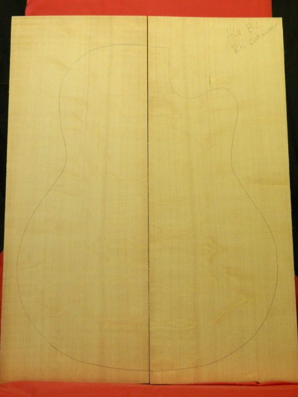 AAA Bearclaw R-Hand Cut Away Dread Top - Image 3