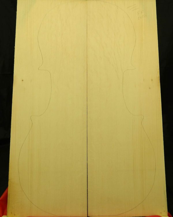 AAA Full Figured Bearclaw Cello Front - Image 2