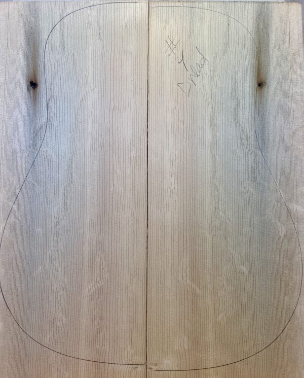 Blue Bearclaw Sitka Dreadnaught Guitar - 04