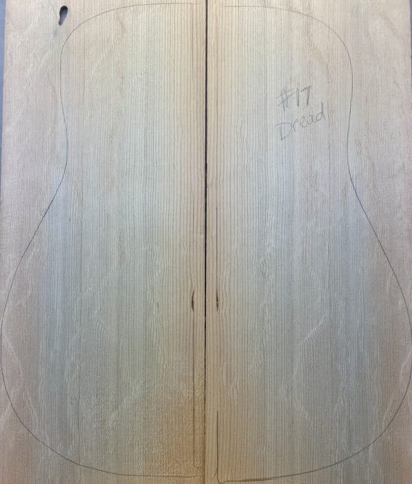 Blue Bearclaw Sitka Dreadnaught Guitar - 17