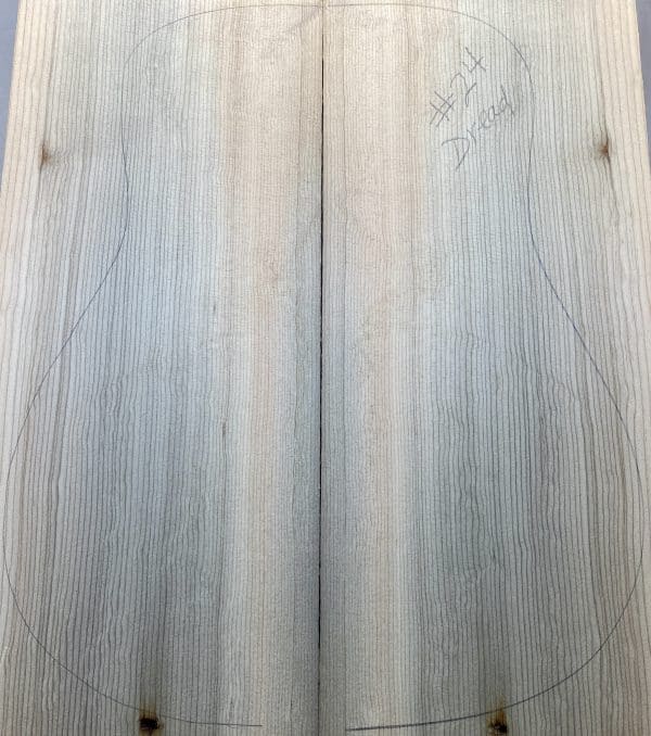 Blue Bearclaw Sitka Dreadnaught Guitar - 24