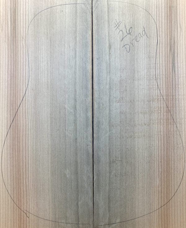 Blue Bearclaw Sitka Dreadnaught Guitar - 26