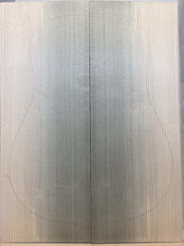 Blue Bearclaw Sitka  Guitar - Dread 17