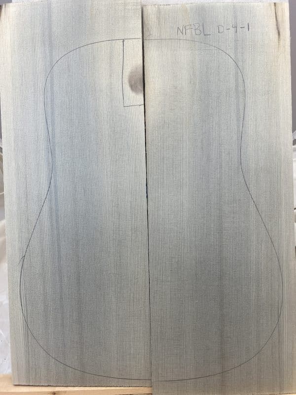 Denim Blue One-of-a-Kind Guitar Tops – BDL 4